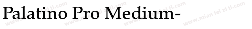 Palatino Pro Medium字体转换